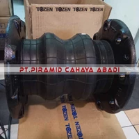 Strip Seal Expansion Joint SCH 40